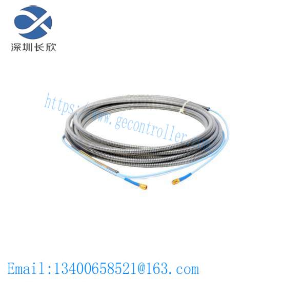 Bently Nevada 101-00-63-10-02-00