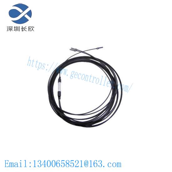 Busak+Shamban Ring PT301100-T46N