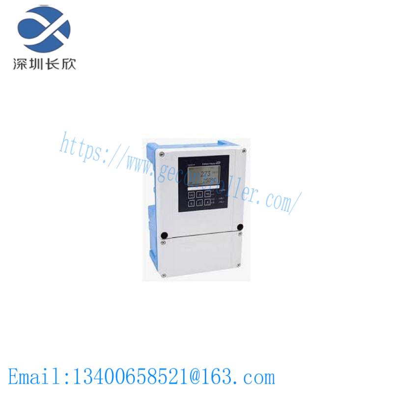 E+H COM253-WX0005 Dissolved Oxygen Measurement