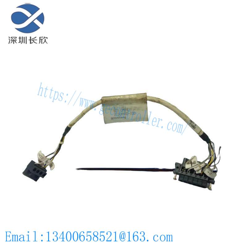 HONEYWELL 51304465-100 Cable