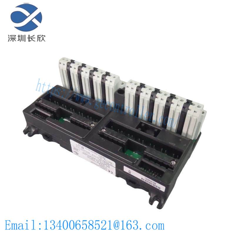 GE IC670CHS002 I/O terminal block
