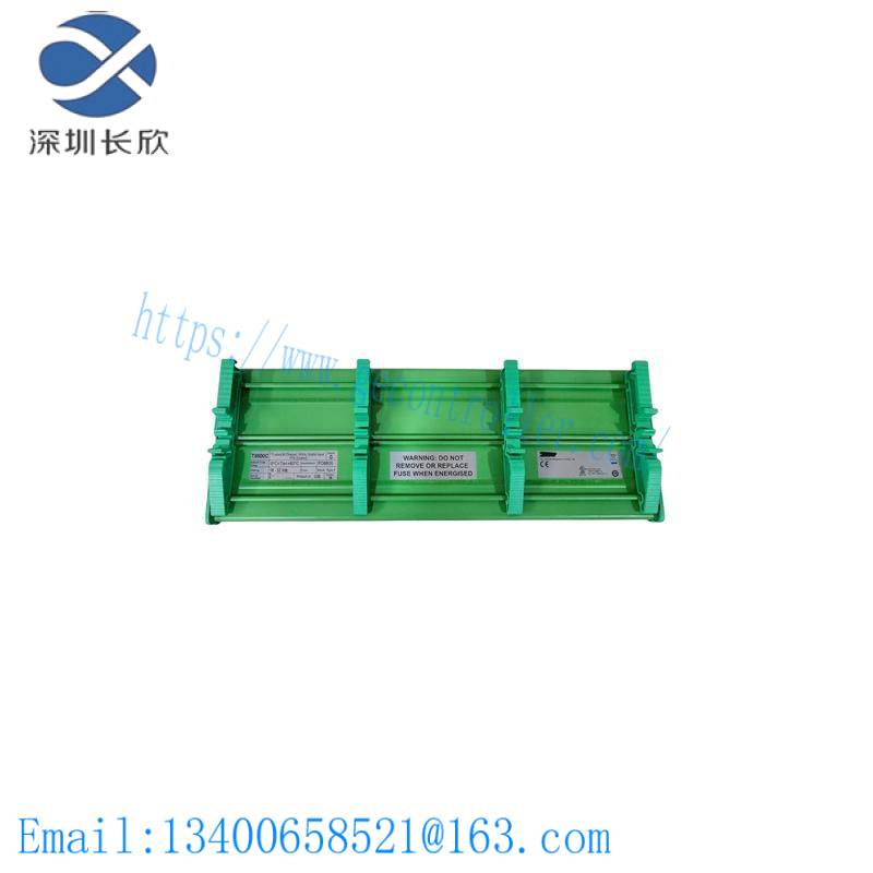 ICS Triplex T8800C Digital Input FTA