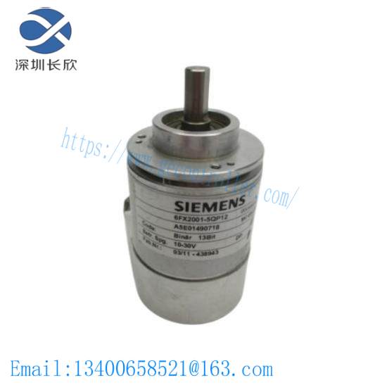 SIEMENS SMP-E217
