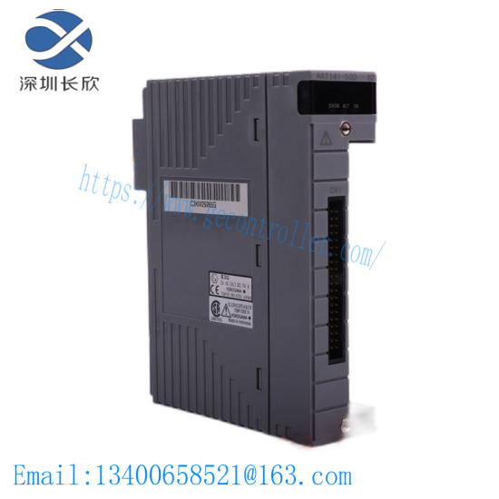 Yokogawa AAI543-S00 S1  FCS System