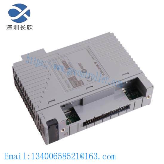 Yokogawa AAI543 Analog Output Module