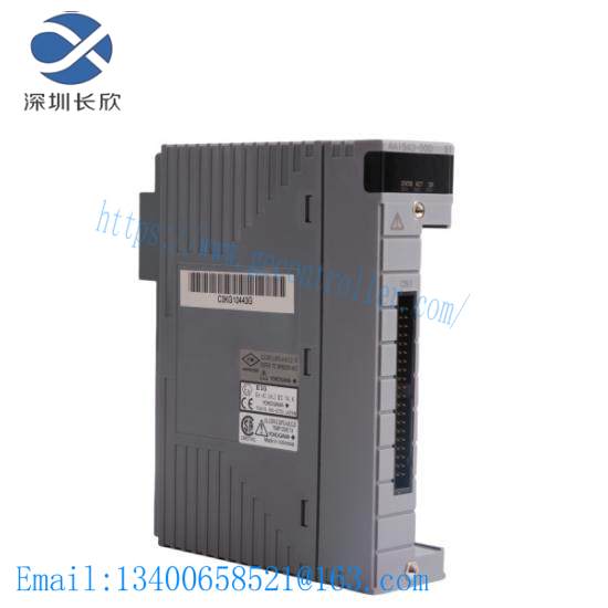 Yokogawa AAI543 Analog Output Module