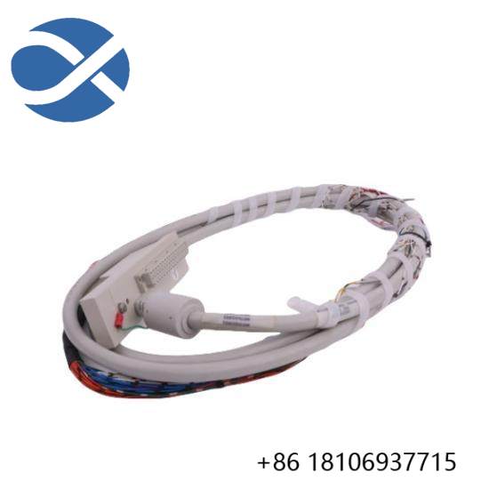 16137-116  Moore I/O Cable