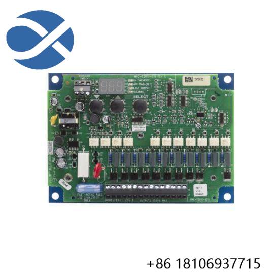 AMETEK DNC–T2010–R20 AC Input