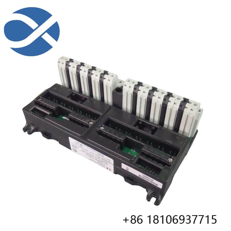 GE IC670CHS002 I/O terminal block