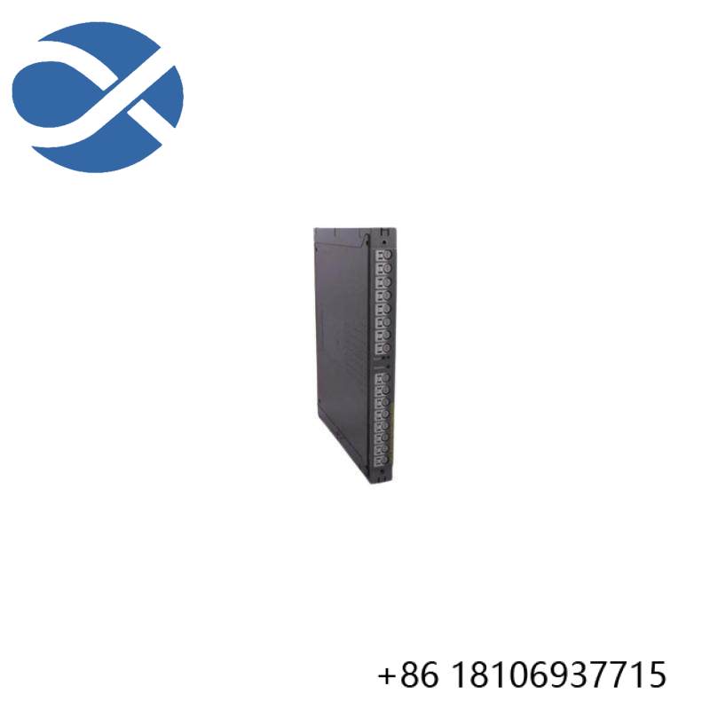 ICS TRIPLEX T8231C Power Pack