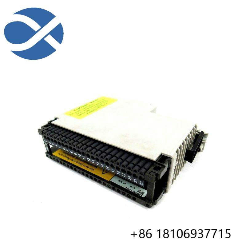 Schneider AS-BDAU-204 ANALOG OUTPUT MODULE