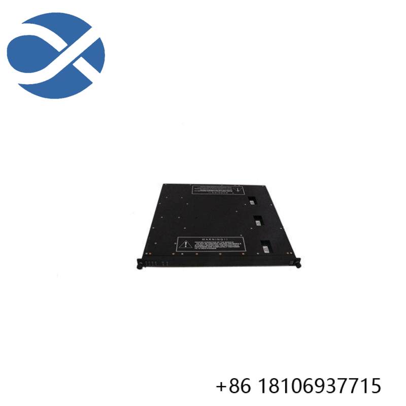 TRICONEX 4000094-320 Module