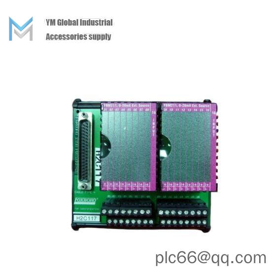 P0916BT  I/A Series Module  Foxboro