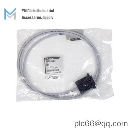 FOXBORO 9106A-SIBA-NSJ-G FLOWTUBE (S51E)