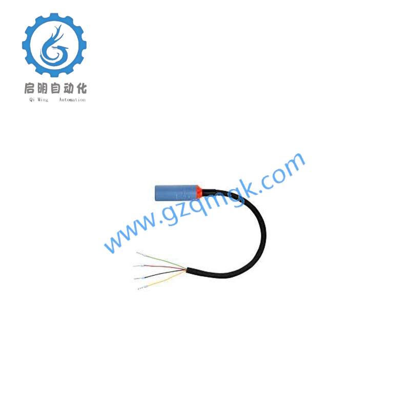 E+H CYK10-G101 Digital Measuring Cable