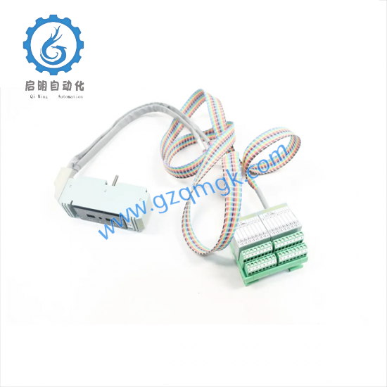 FOXBORO P0500SR Termination Cable Assembly