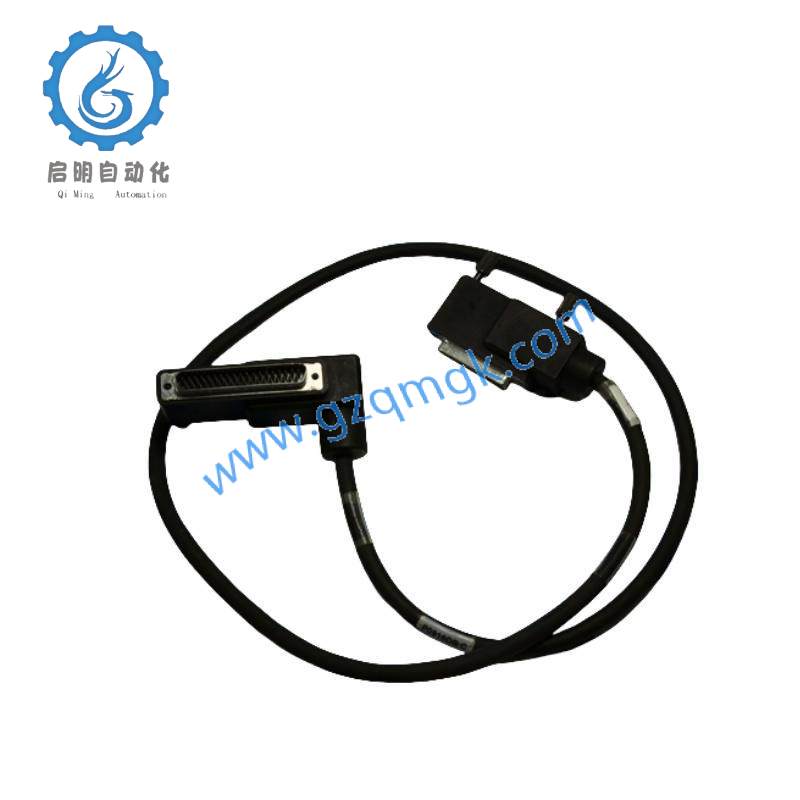 Foxboro P0916DB TERMINATION CABLE