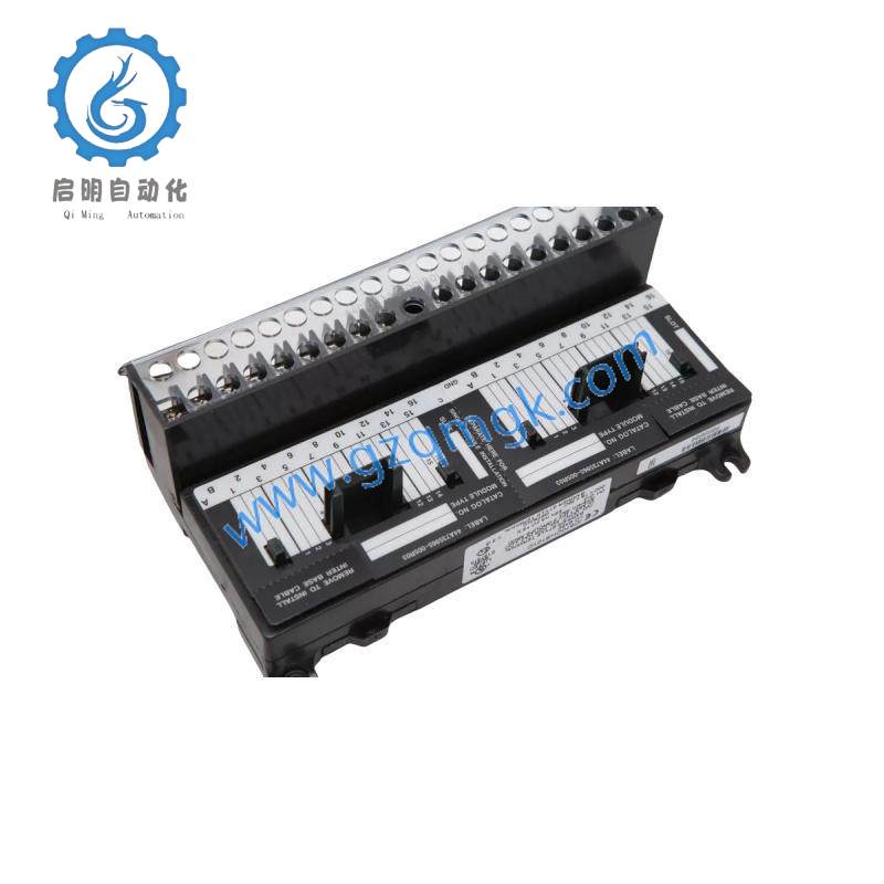 GE IC670CHS101