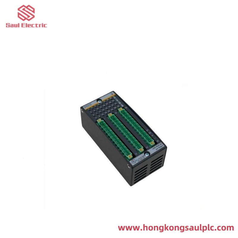 Bachmann DI0232 Digital Input/Output Module