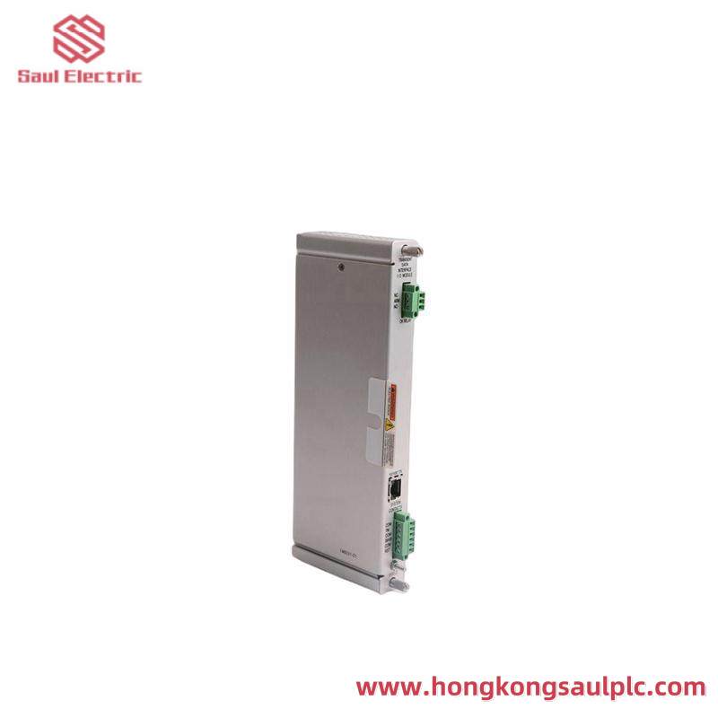 Bently Nevada 125736-01 I/O MODULE