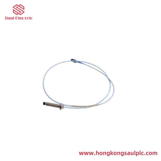 BENTLY NEVADA 330103-00-06-10-02-00 Vibration probe