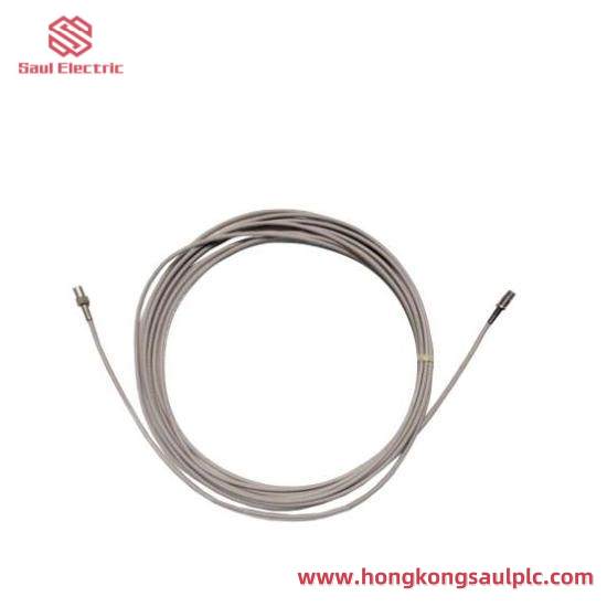 Bently Nevada 330704-000-050-10-01-05  Extension Cable