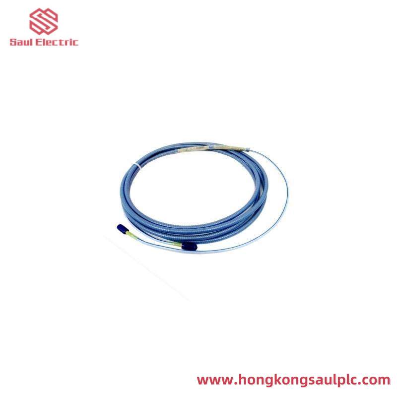Bently Nevada 330854-080-24-CN Extension Cable