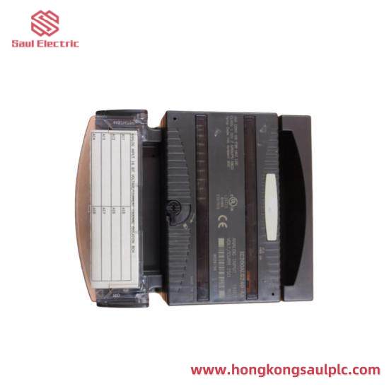 GE FANUC IC200ALG240 Analog Input I/O