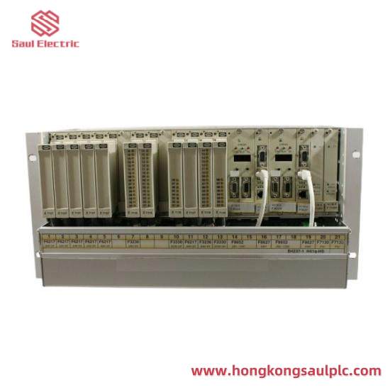 HIMA F7131 981713102