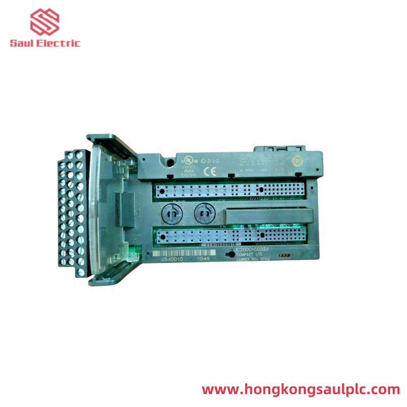 GE IC200CHS022J Analog input MODULE