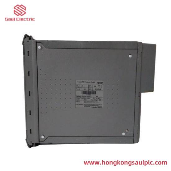 ICS TRIPLEX T8110C