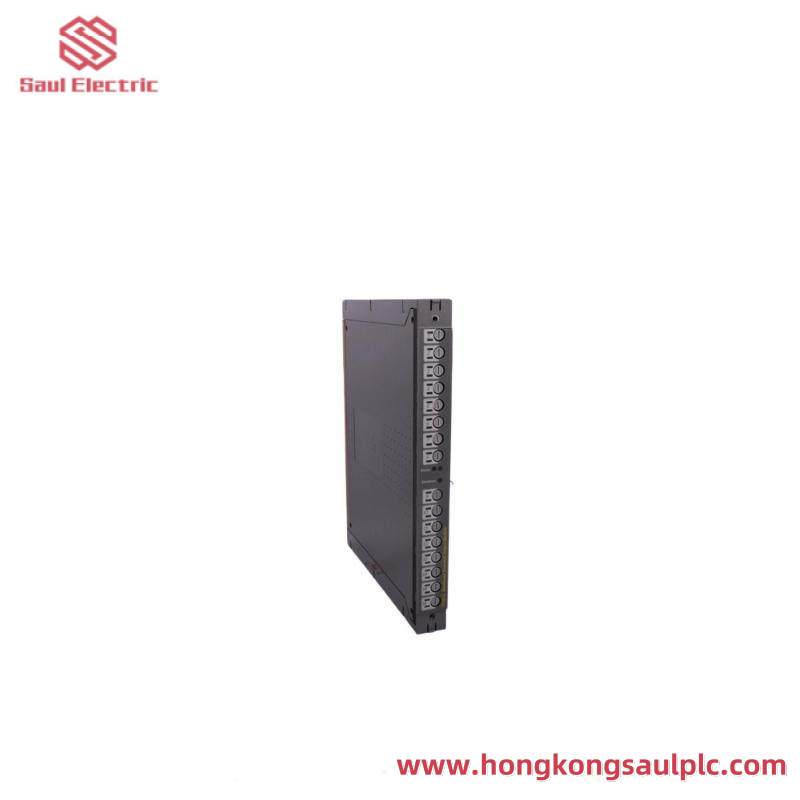ICS TRIPLEX T811B Module