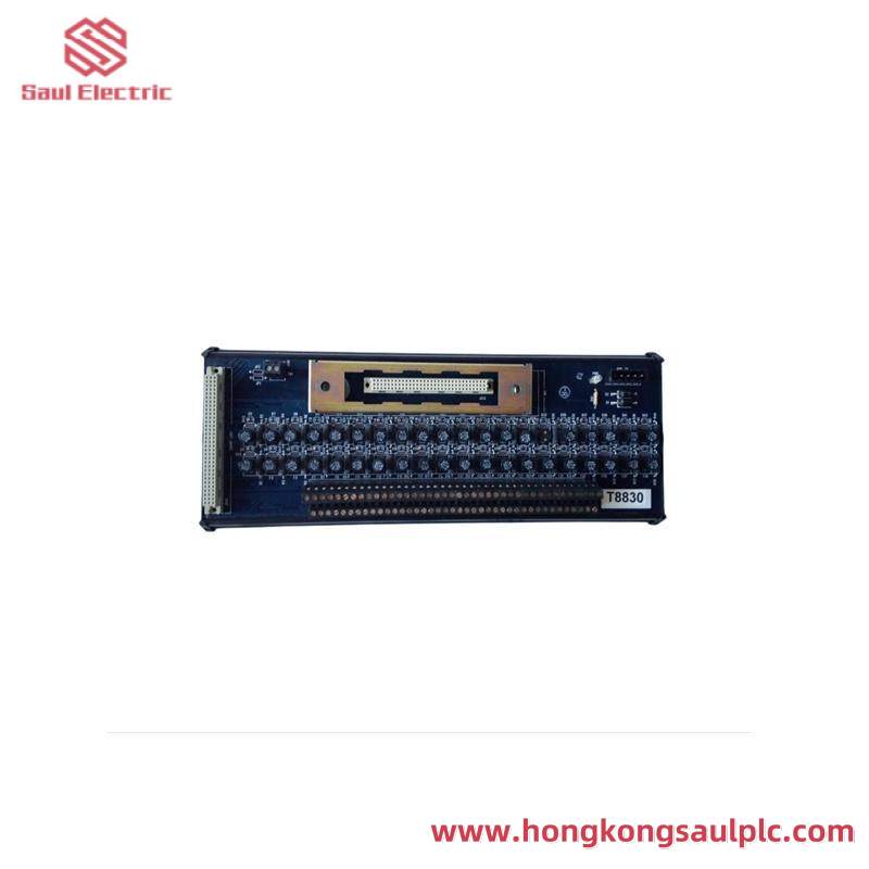 ICS TRIPLEX T8191