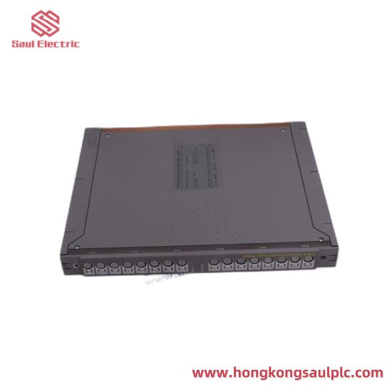 ICS TRIPLEX T8431C