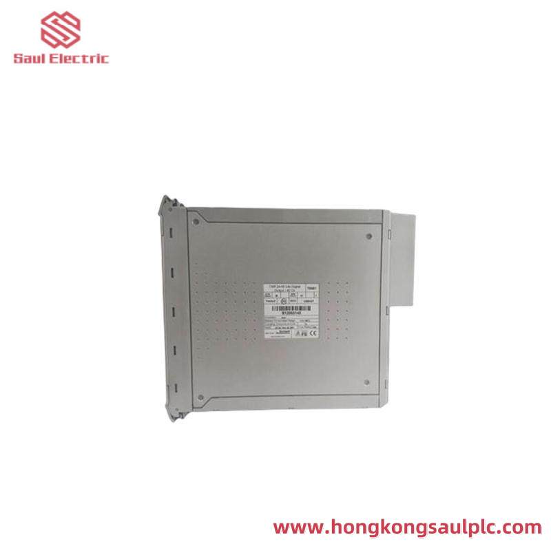 ICS TRIPLEX T8461
