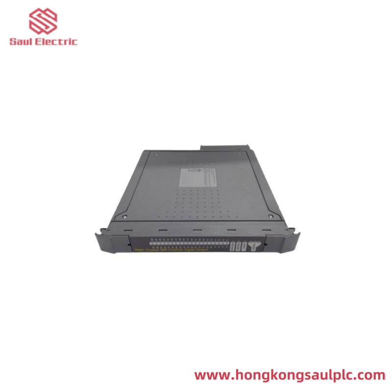 ICS TRIPLEX TC-303-01-2M0