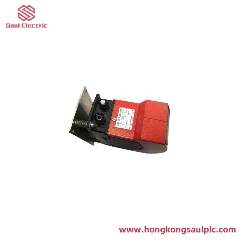 LEUZE DDLS 200/200.2-50-M12