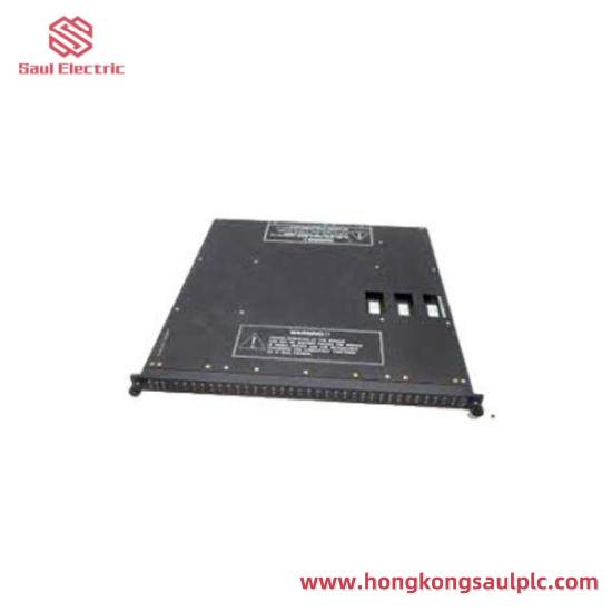 Triconex 3604A short delivery time