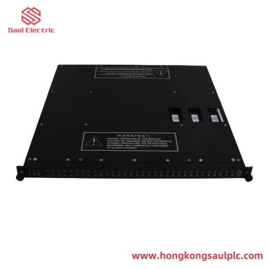 TRICONEX D06603