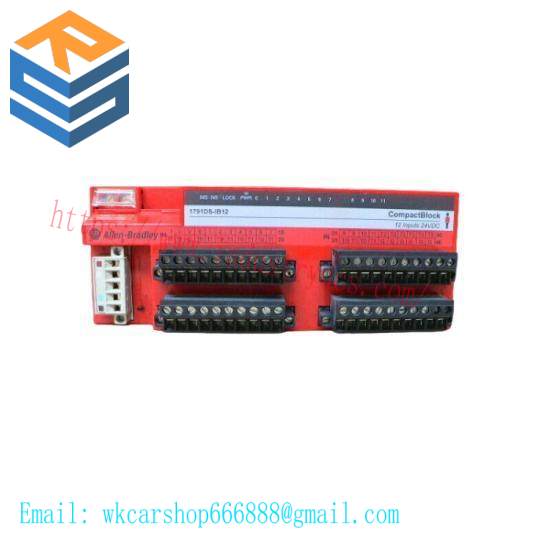 1791-DSIB12 Input Module