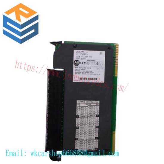 810019952R