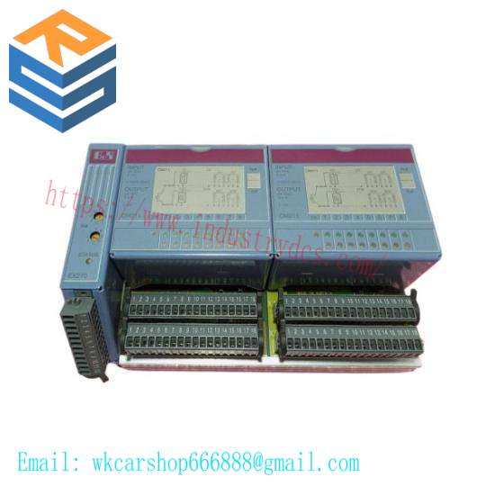 B&R 2CP100.60-1