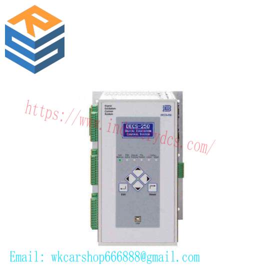 Basler DECS-200-2L