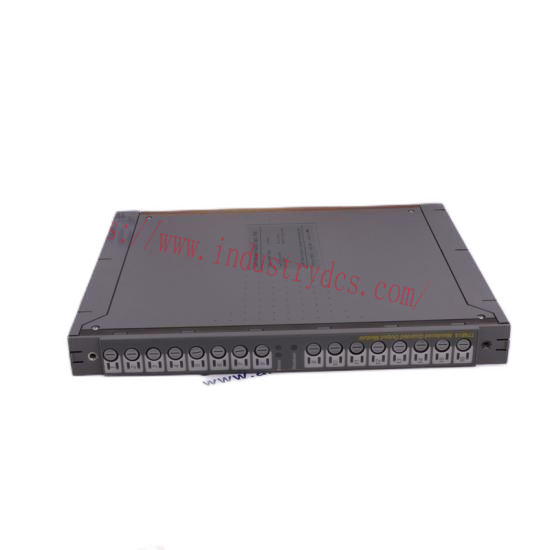 Bently Nevada 3300/16-03-01-00-01-00-00