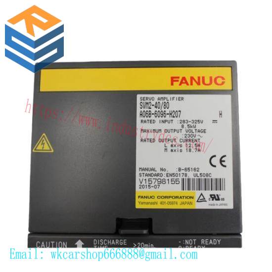 Fanuc A06B-6096-H207  GE Servo Module