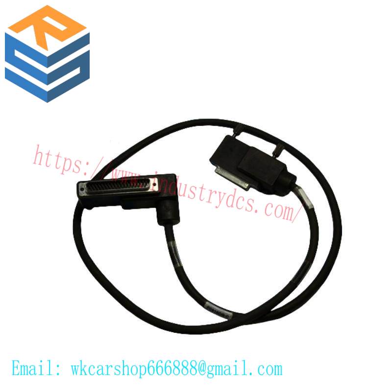 Foxboro P0916DB TERMINATION CABLE