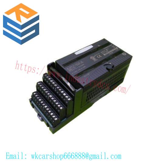 GE Fanuc IC200ALG266F input module