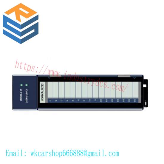 GE FANUC IC694ALG223