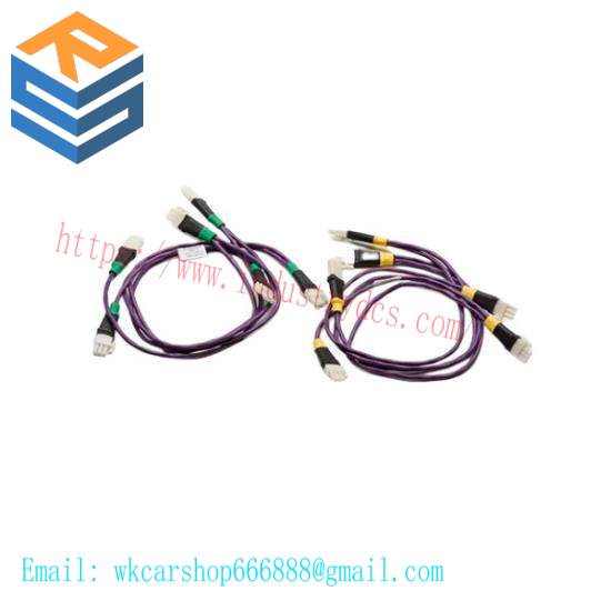 Honeywell 51202306-002/NC-3110 CABLE I/O LINK PROTECTION 2M