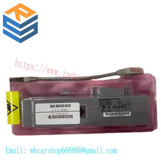 HONEYWELL 51304199-300